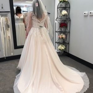 Wedding Dress and Veil